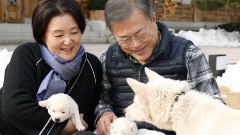 Мун Чжэ Ин и первая леди Ким Чон Сук с собаками в 2018 году