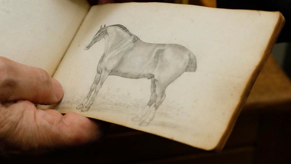 Sketch of horse in book