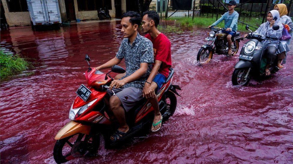 Люди катаются на мотоциклах по затопленной дороге с красной водой из-за отходов красителей с тканевых фабрик в Пекалонгане, провинция Центральная Ява, Индонезия