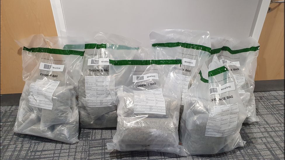 Belfast Drug Busts Land £1 2m Cannabis Haul Bbc News