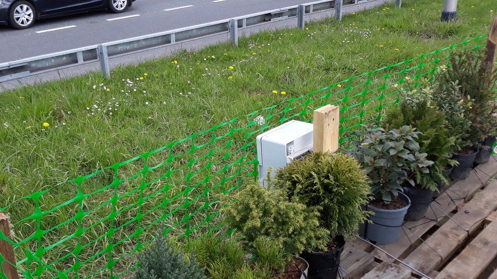 A photo of the planters installed beside the A3 in Guildford