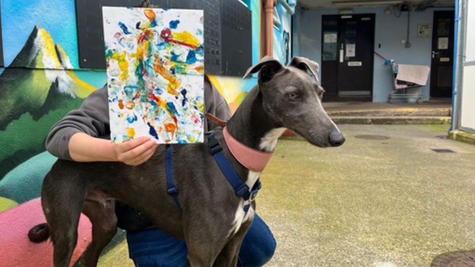 Photo of a dog with artwork