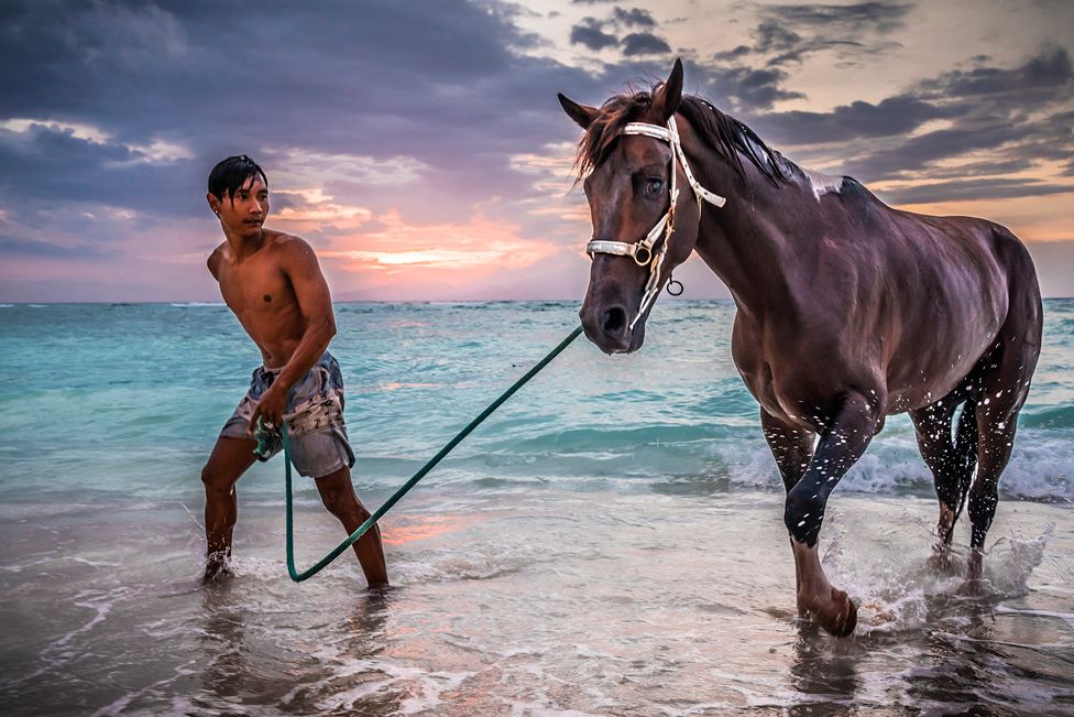 Boy and his Horse Under Indonesian Sun - a boy walking next to a horse in the sea, with the sun low in a cloudy sky