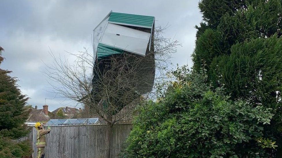 Shed in tree