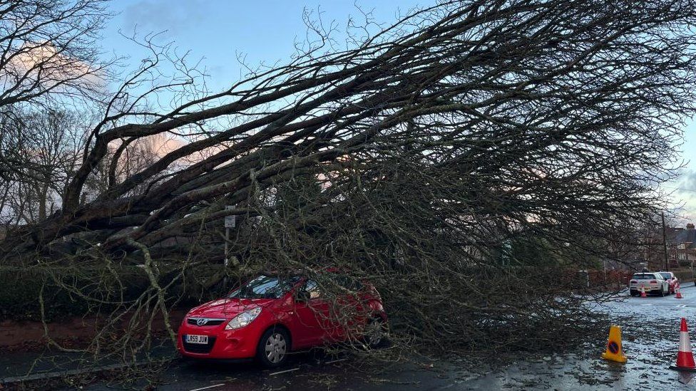 A tree collapsed on a car in Exeter during Storm Henk