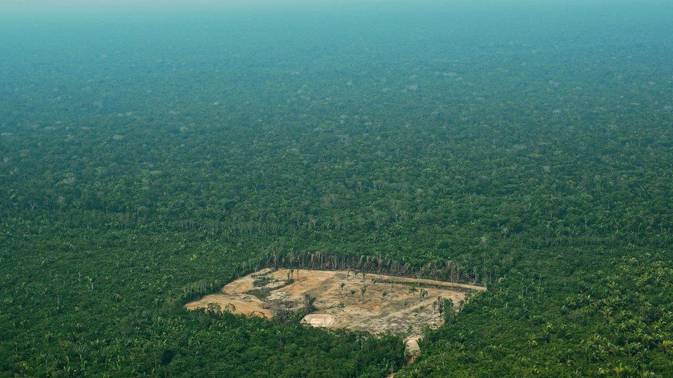 A patch of deforested land in the Amazon rainforest