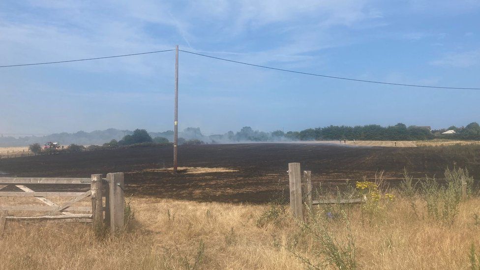 Burnt grassland at Carlton Marshes Nature Reserve near Lowestoft, Suffolk