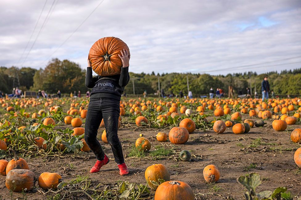 A person attempts to lift a heavy pumpkin overhead at Tulleys Farm in Crawley, England