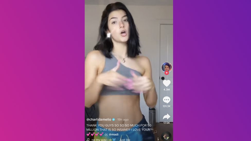 TikTok Live Followers Count - Charlidamelio 100M Live View Counter 