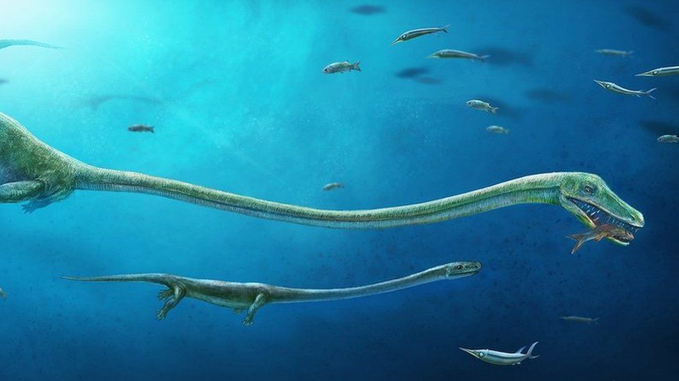 'Chinese dragon-like' ancient reptile identified - BBC Newsround