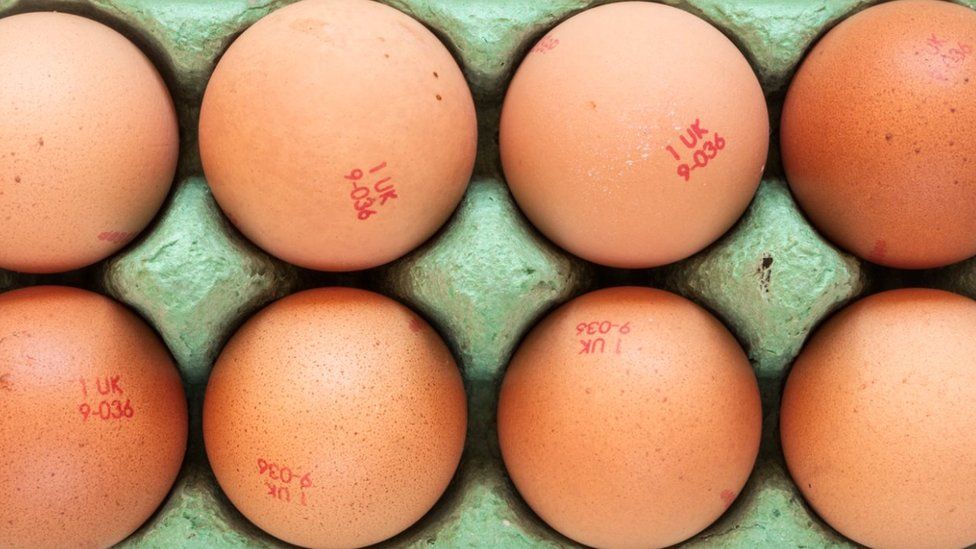 Stock image of eight eggs in a carton