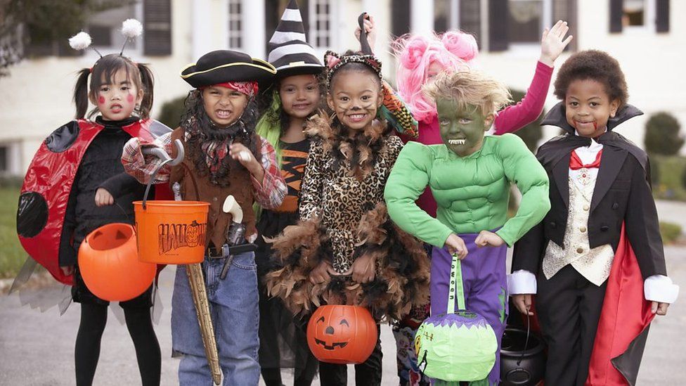 Animals get into the Halloween spooky spirit - BBC Newsround