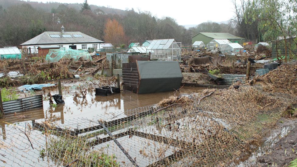 Flooded allotments