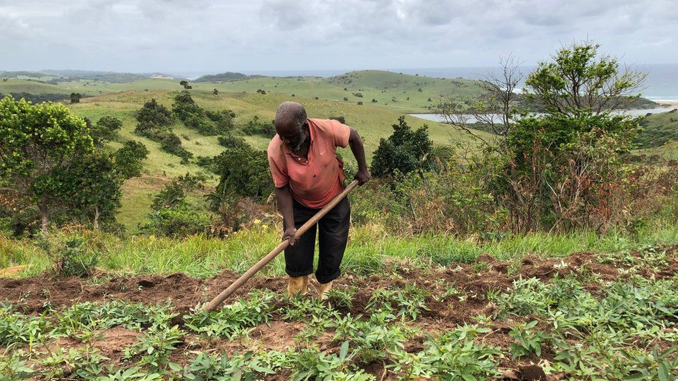 Bab Dlamini tills the soil in Xolobeni, Eastern Cape