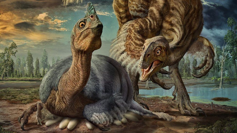 Two oviraptorosaurs - one sits on a clutch of eggs, the other stands by