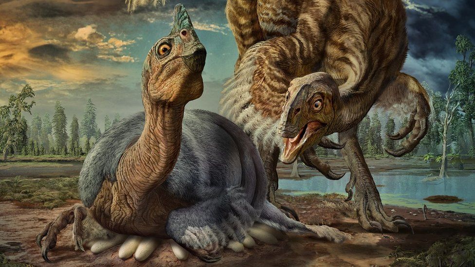 Dinosaur parenting: How the 'chickens from hell' nested - BBC News