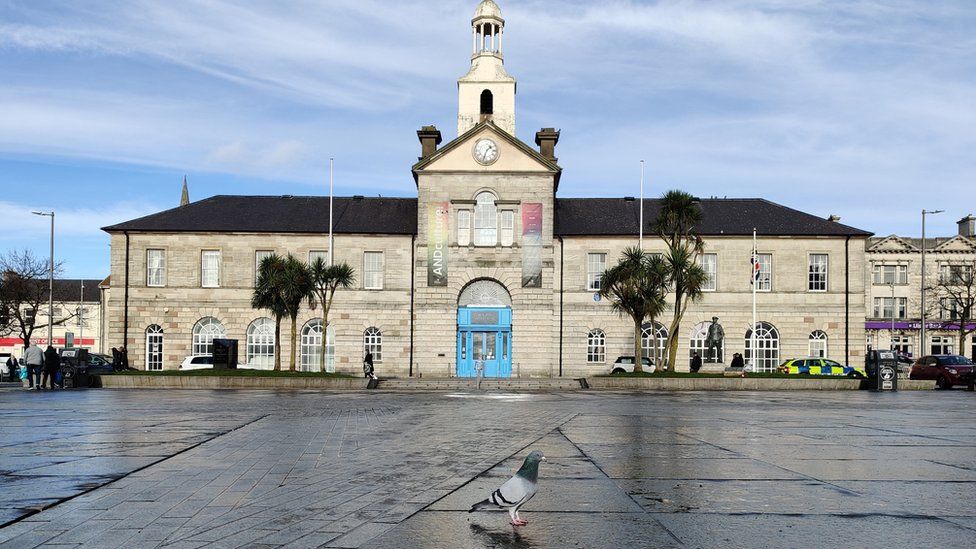Pigeon in Conway Square, Newtownards