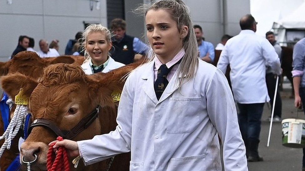 Cattle handlers at Balmoral Show