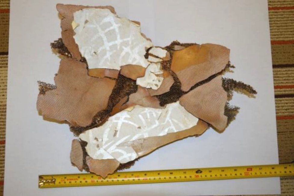 Photo of cabin interior panel debris said to be 'almost certainly' from MH370