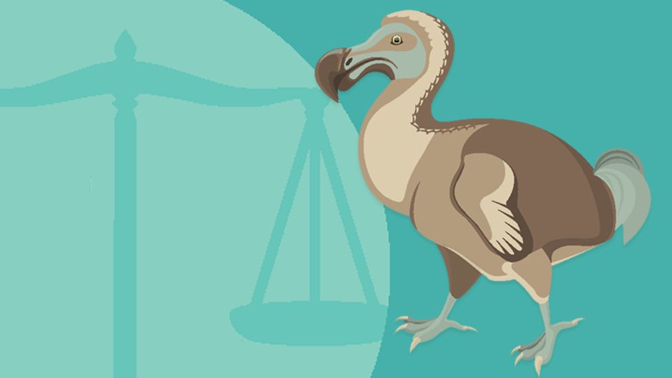 Graphic showing a dodo and scales of justice