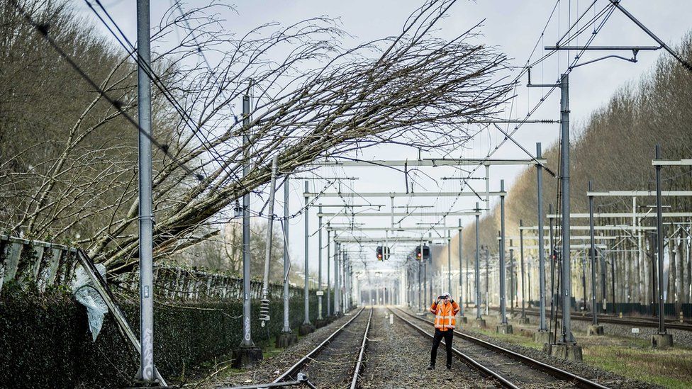 Упавшее дерево на линии электропередач в Нидерландах
