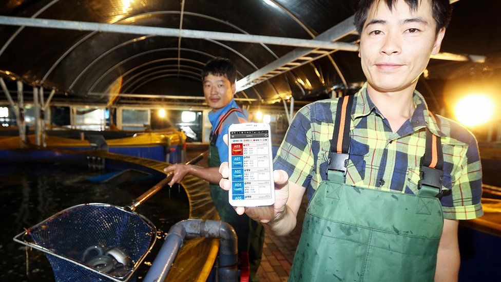South Korean eel farmers showing off SK Telecom app