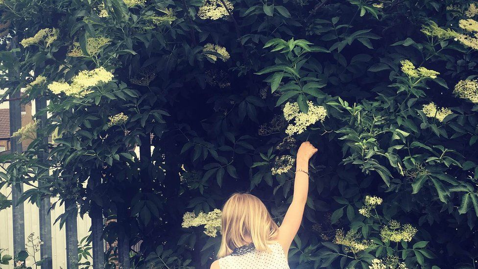 girl picking elderflowers