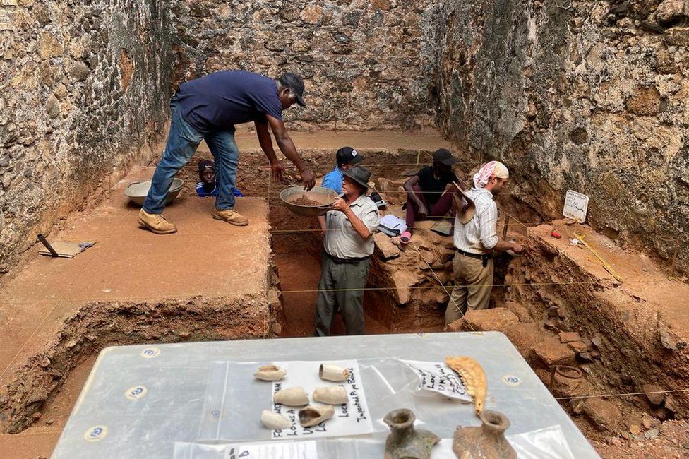 Activity at the dig site