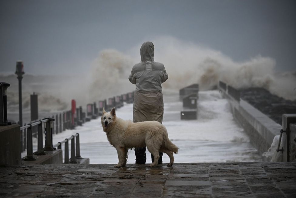 A person and their dog watch the waves, on November 02, 2023 in West Bay, Dorset.
