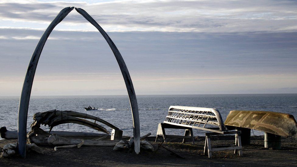 Whale bones sit on the edge of the city, where many residents are subsistence hunters