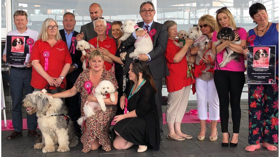 Campaign group Cariad with their dogs and Pontypridd AM Mick Antoniw