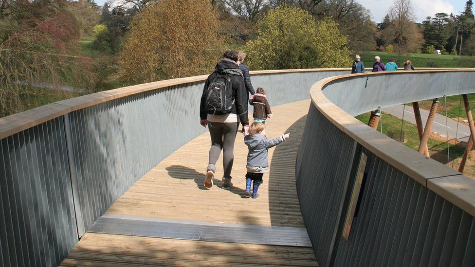 Treetop walkway opens to public