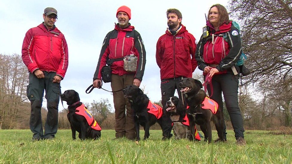 search and rescue dogs in action