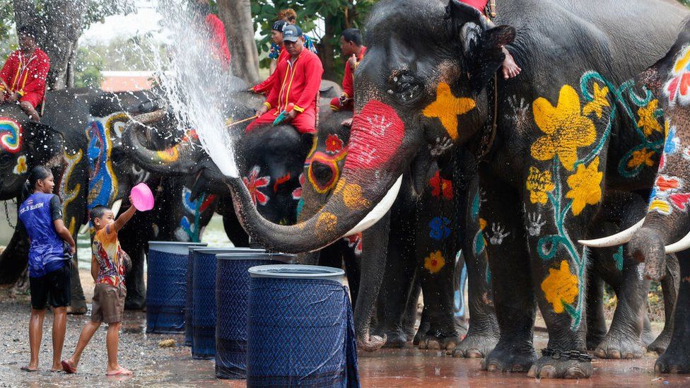 Children and elephants splashing each other with water