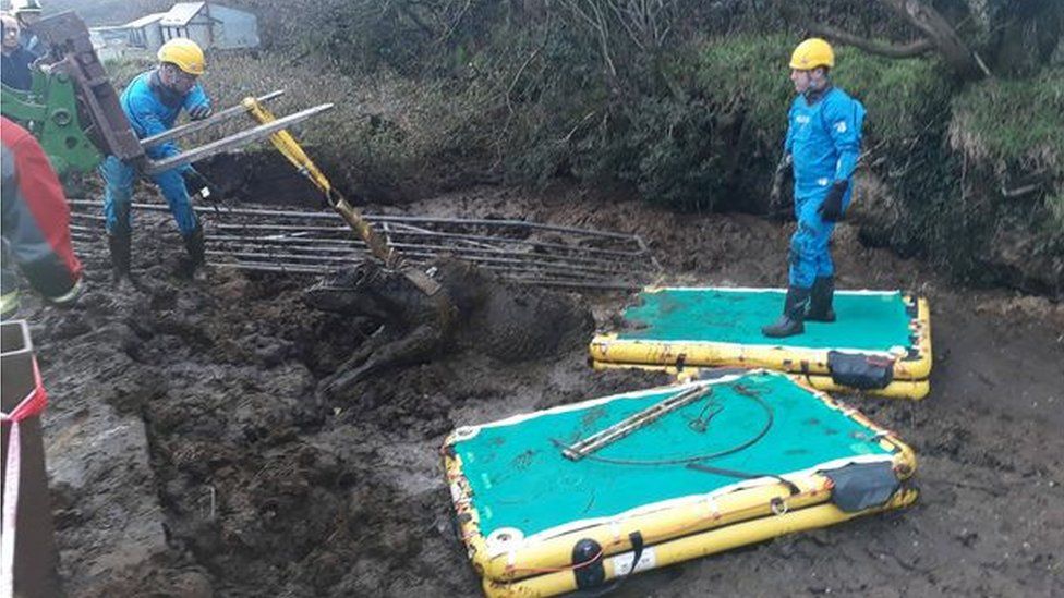 Cow rescue from slurry pit