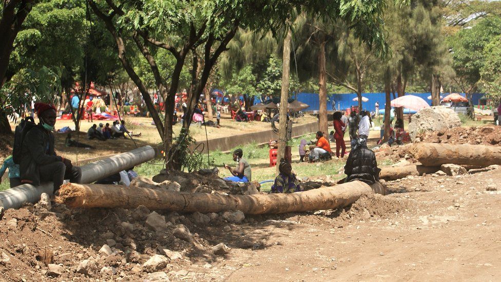 People sitting near felled trees in Nairobi, Kenya