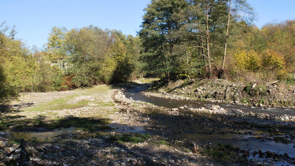 Image shows the Valsan river