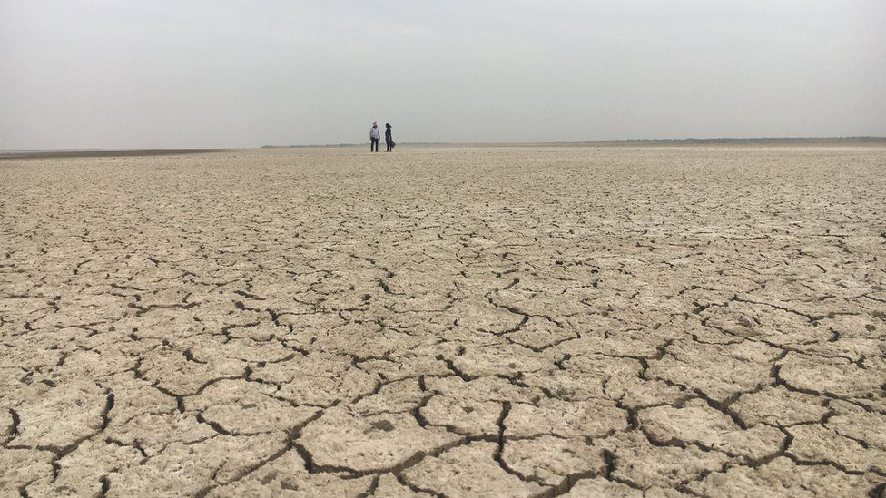 Cracked and dry fields in Gujarat