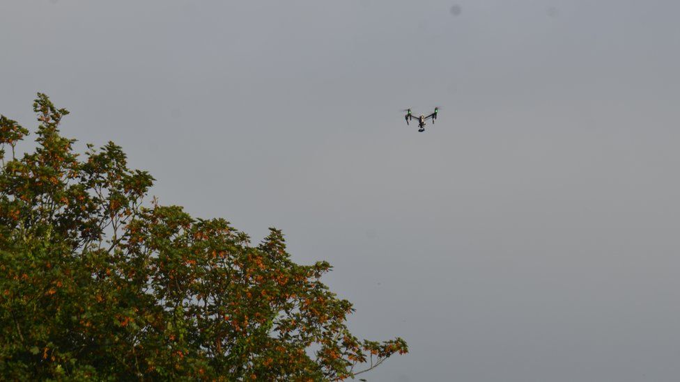 drone by tree