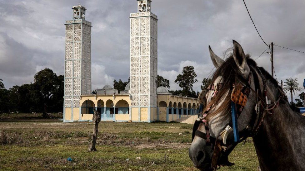 Donkey outside a mosque