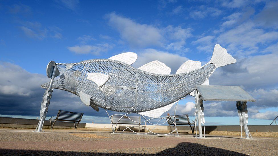 South Shields' fish sculpture aims to cut plastic pollution - BBC News
