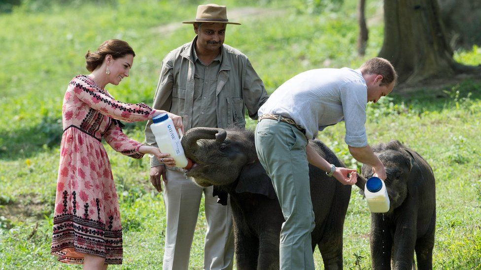 The Duke and Duchess of Cambridge feed baby elephants at the Centre for Wildlife Rehabilitation and Conservation (CWRC) at Panbari reserve forest in Kaziranga