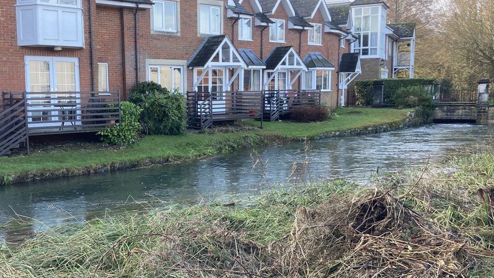 The River Kennet flowing past houses in Marlborough