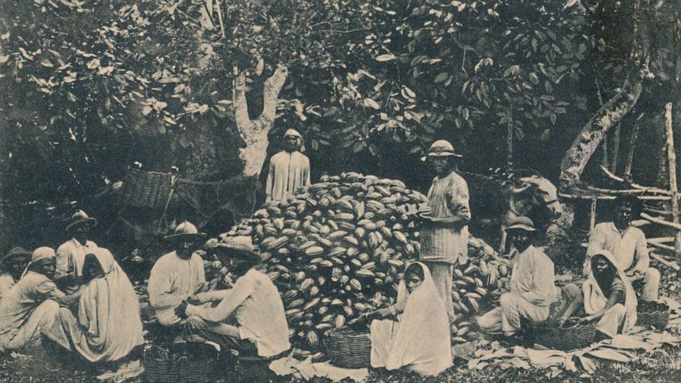 Gathering Cocoa, Trinidad, B.W.I.', (British West Indies), early 20th century. Workers with a pile of cocoa beans on a plantation during the colonial period. Cacao, or cocoa, has contributed to the socio-economic development of Trinidad and Tobago for over 200 years, ever since the Spanish first planted the Criollo variety in 1525