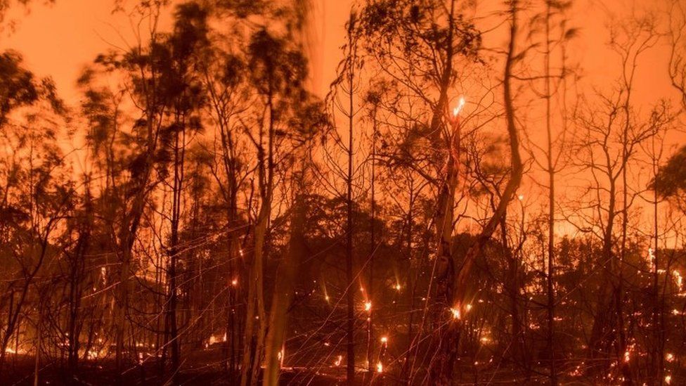 A long exposure photograph shows embers fly off smouldering trees after flames from the "Wall fire" tore through a residential neighborhood near Oroville, California (09 July 2017)