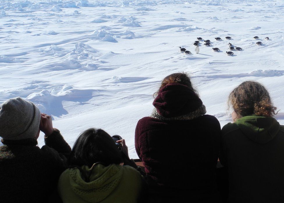 Participants will observe the effect of climate change on Antarctica