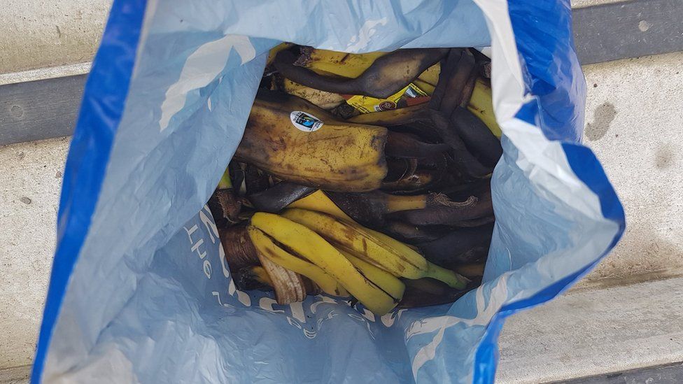 Banana skins collected from Ben Nevis