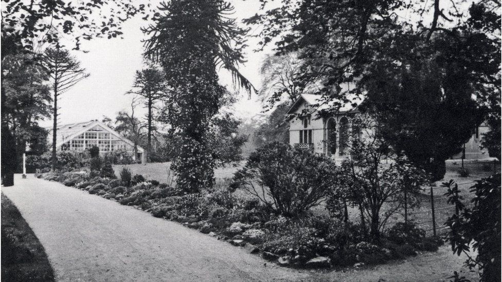 The ravine has been in the gardens since Victorian times