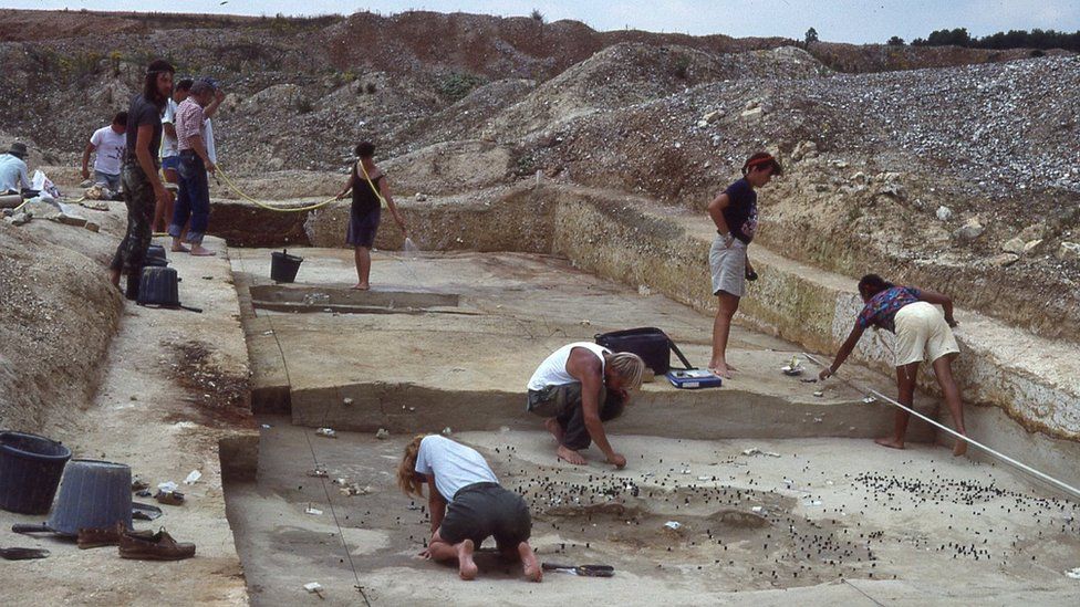 The horse butchery site being excavated in 1990