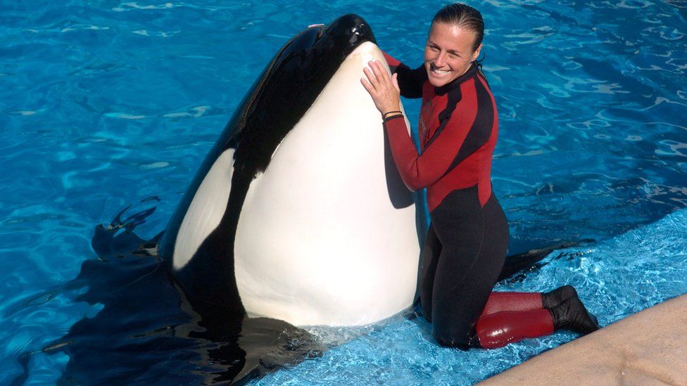 In this photo taken on Dec. 30, 2005, Dawn Brancheau, a whale trainer at SeaWorld Adventure Park, poses while performing.